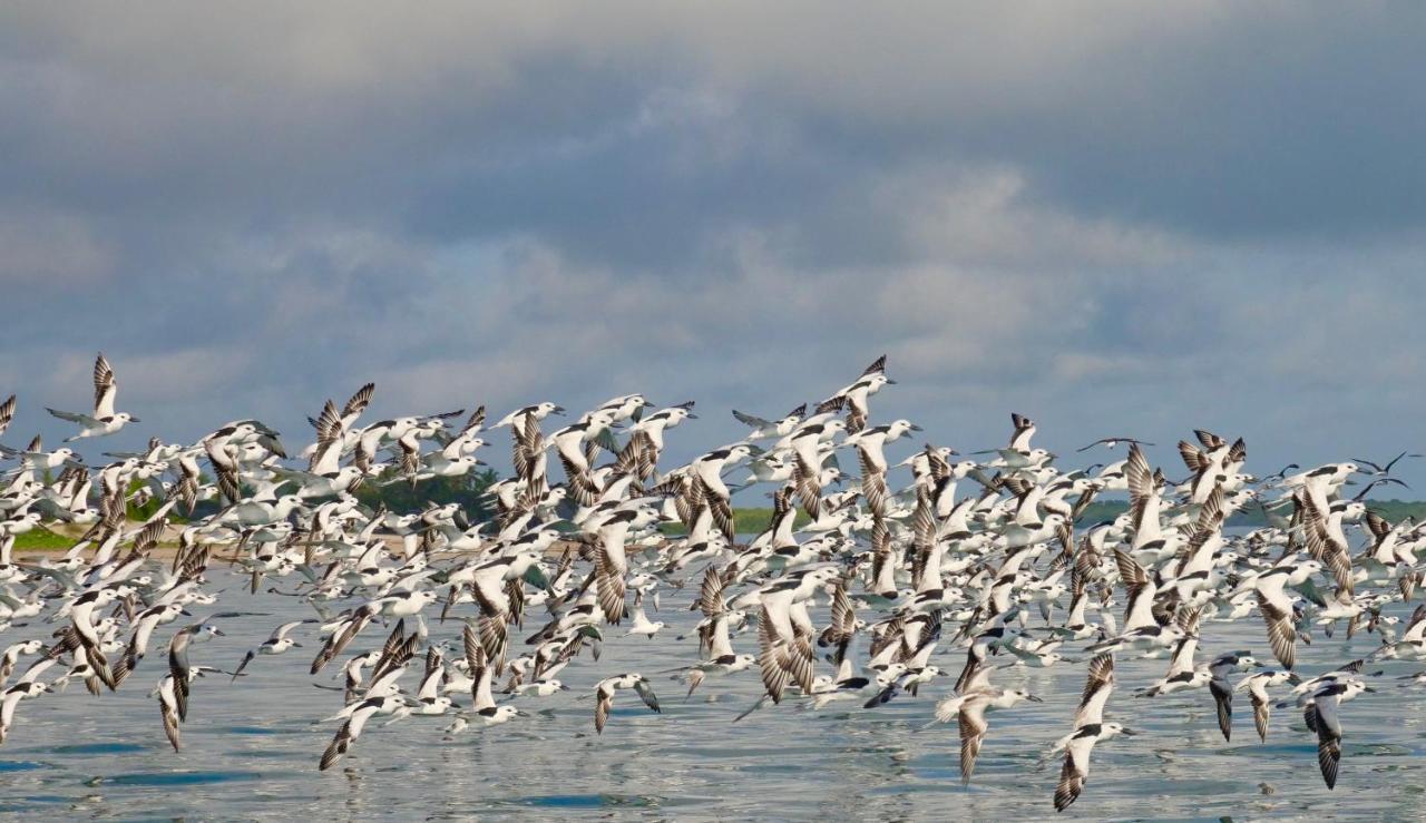 Вилла Manda Bay Ламу Экстерьер фото